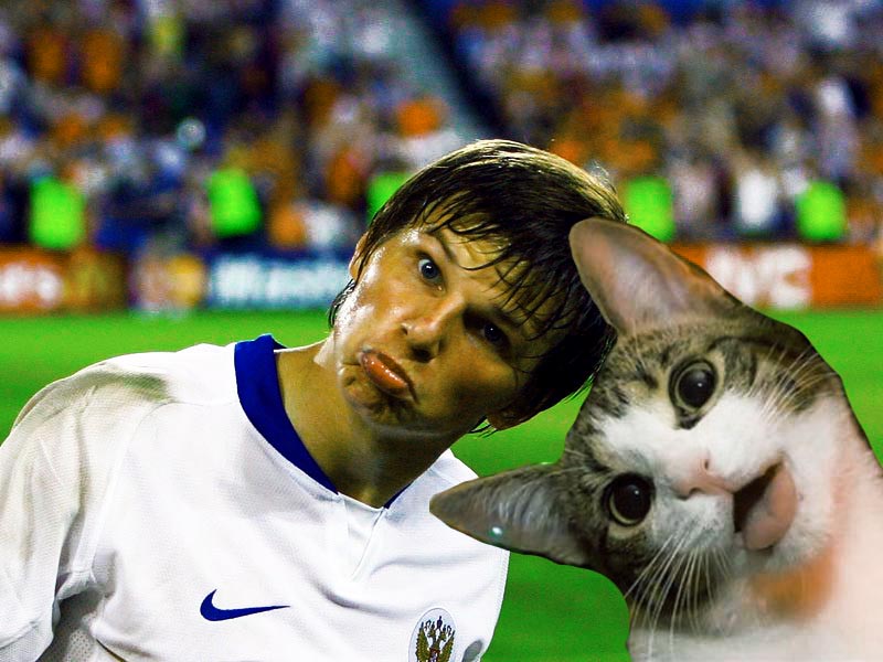 Кот футболист
