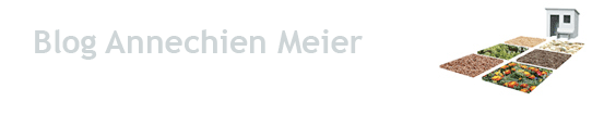 Blog Annechien Meier