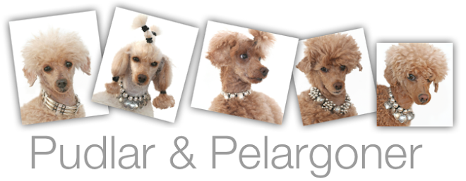 Pudlar & Pelargoner