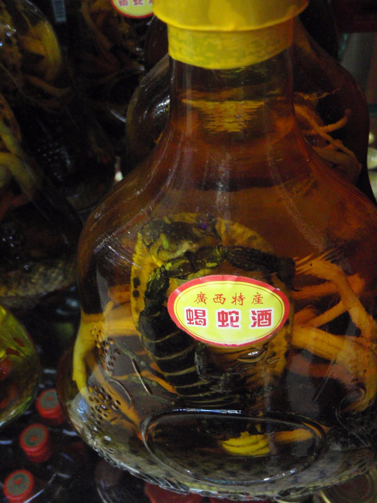 [Cobra+vs+scorpian.JPG]