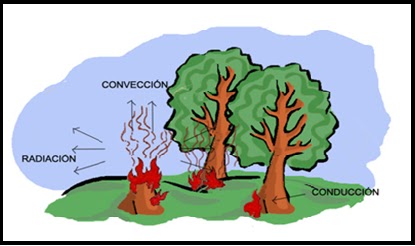 El Calor: Transferencia de calor.