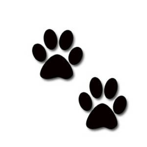 Casual Canine Reflective Pawprint Dog Harness - Dog.com