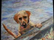 Doggone Dog Days