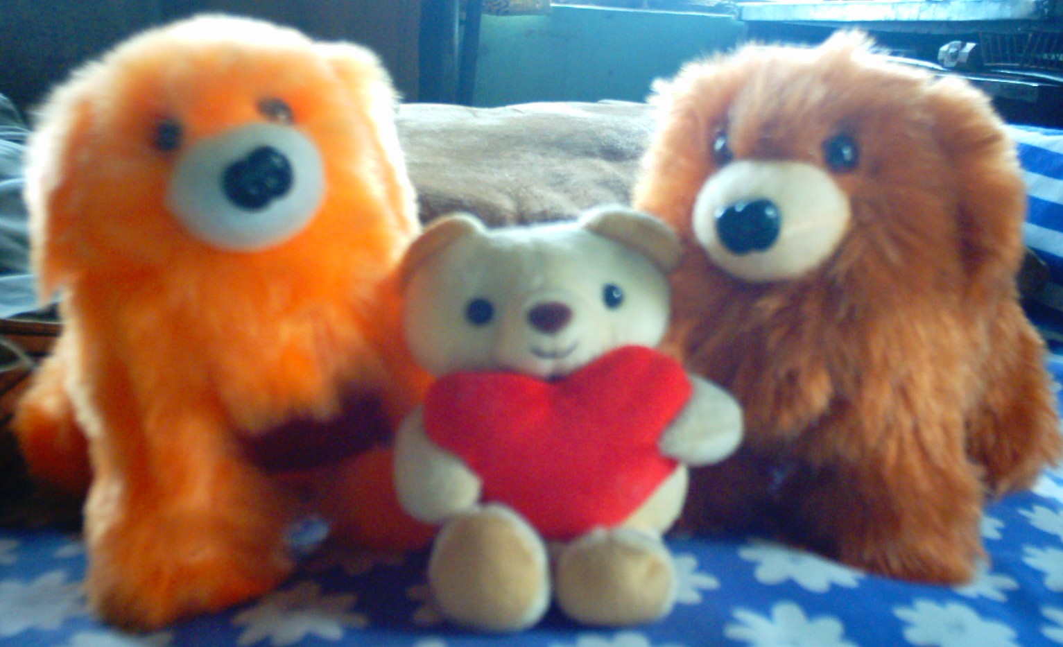 Teddy Tweety Small Teddy with His Friends , Big Smart Dogs