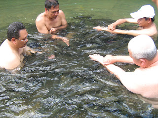 Fish Massage | TAGAL SUNGAI MOROLI KG.LUANTI BARU RANAU
