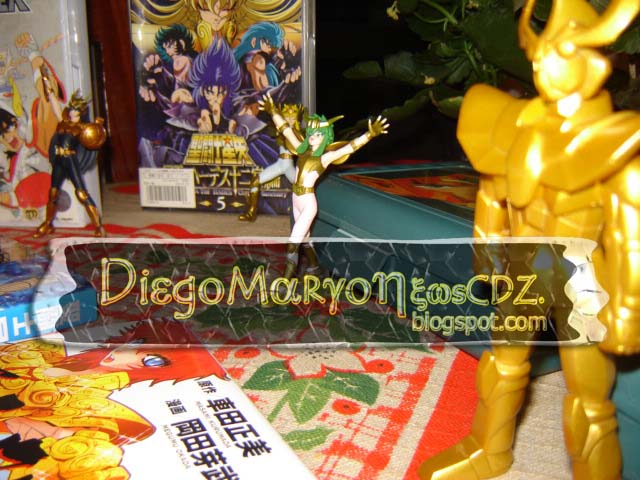 [referencias8_diego_maryo.jpg]