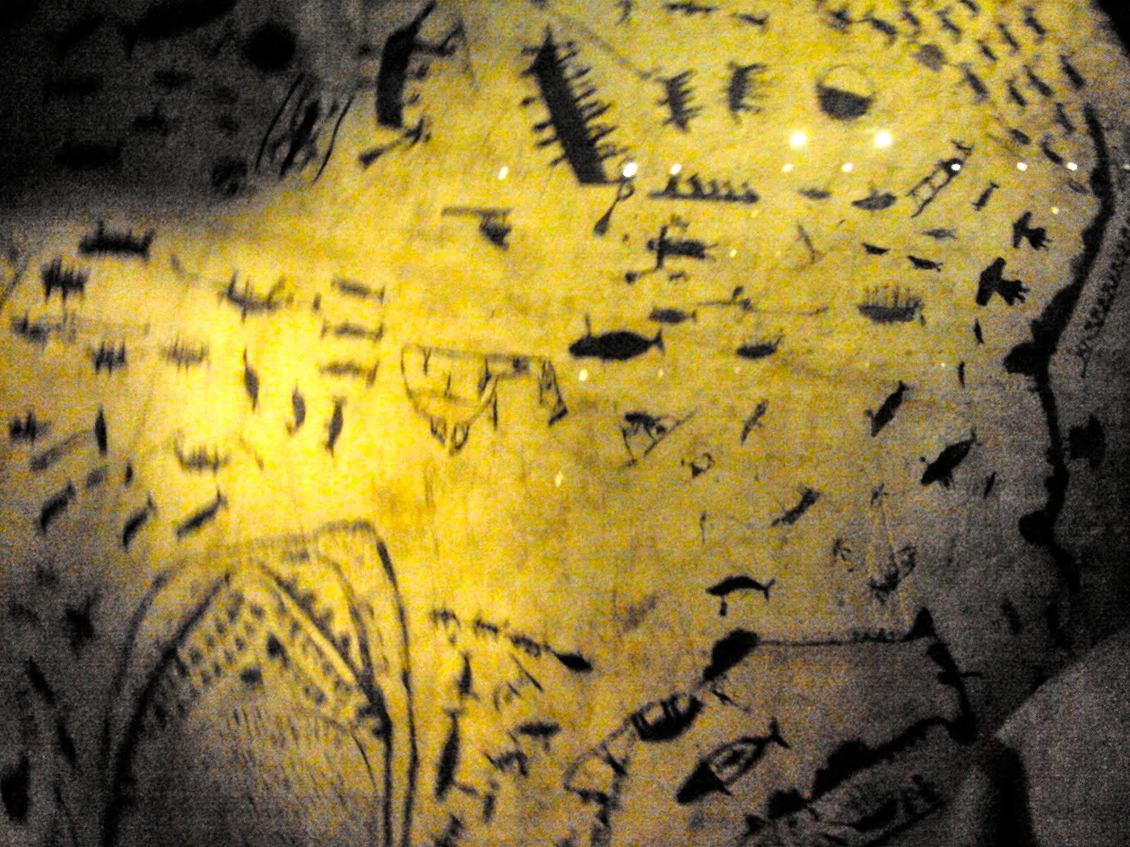 making dens: The Pitt RIvers Museum