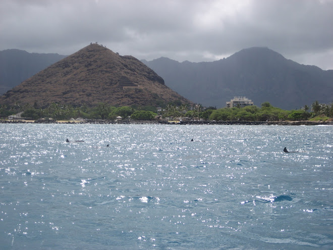 Pokai Dolphins