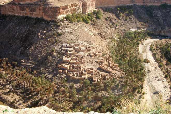 lomazhar Bachir Yellès. Peintre algérien