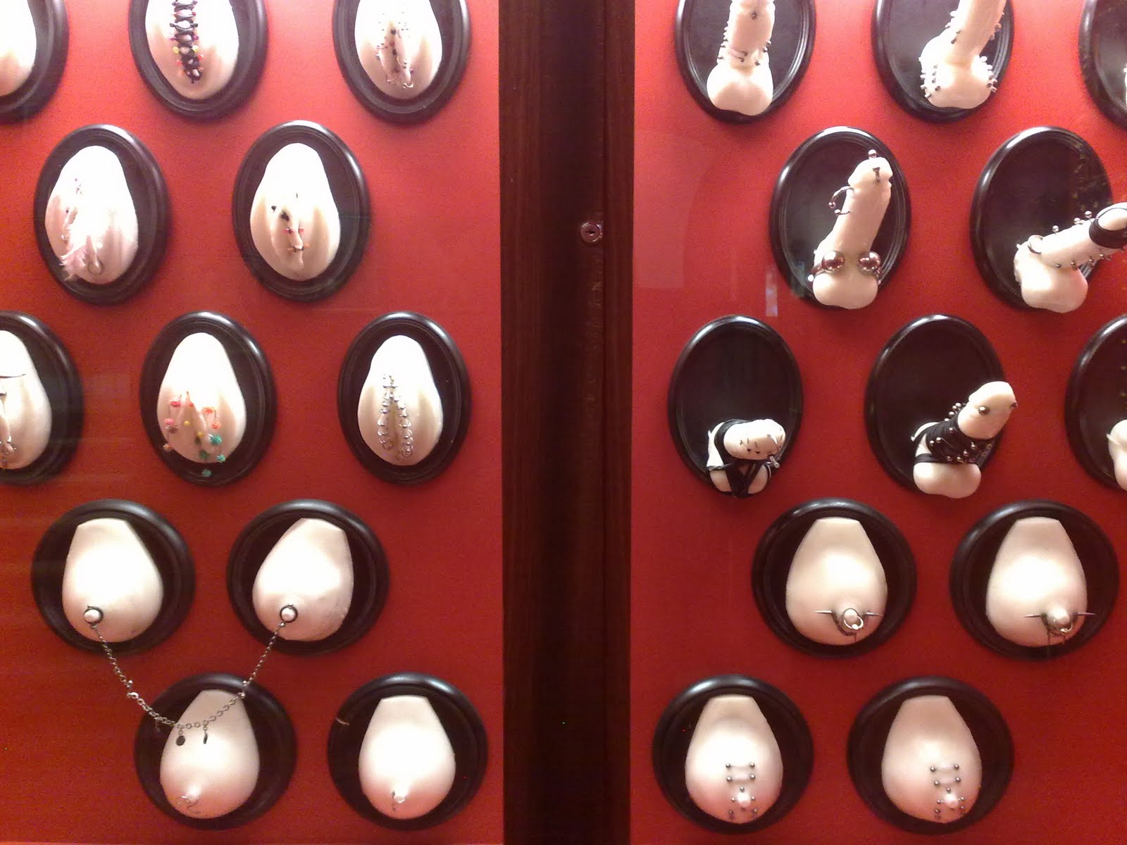 neyin peşindeyim? Yaşadığı şehir neyin peşindeyim? Yaşadığı şehir