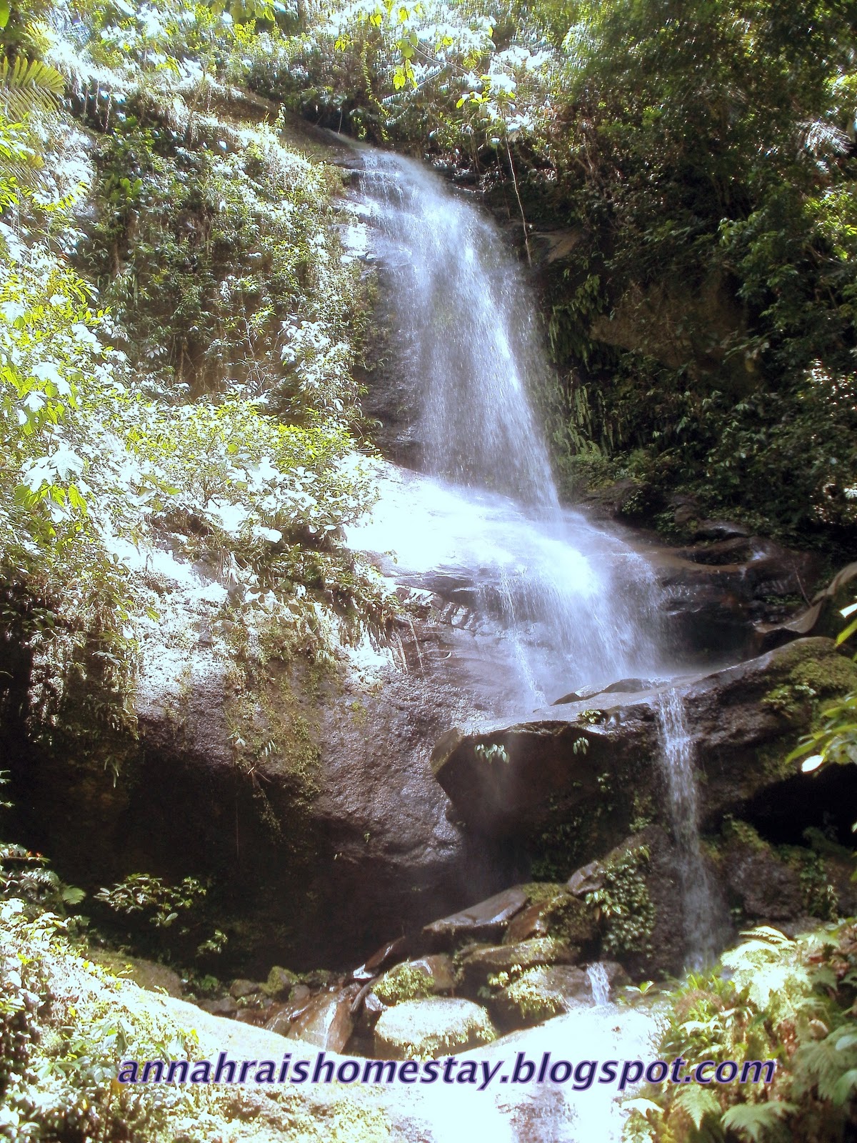 Annah Rais Bidayuh Tribe Homestay: Picture Gallery