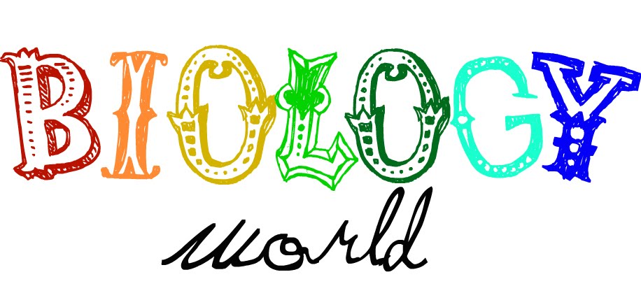 Картинка биология надпись