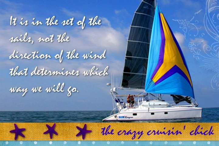 The Crazy Cruisin' Chick
