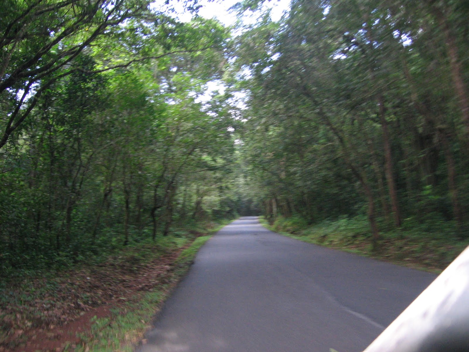 [Dharmasthala+road.jpg]
