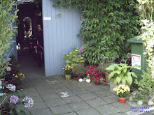 Malerischer  Winkel beim Nachbarn
