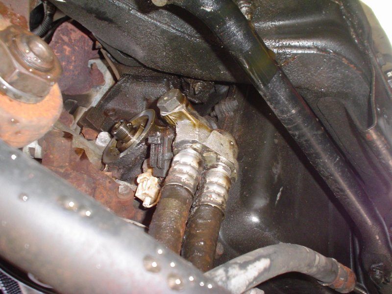 CVI - Your Crown Vic Information Source!: Replacing the Oil Cooler Lines.