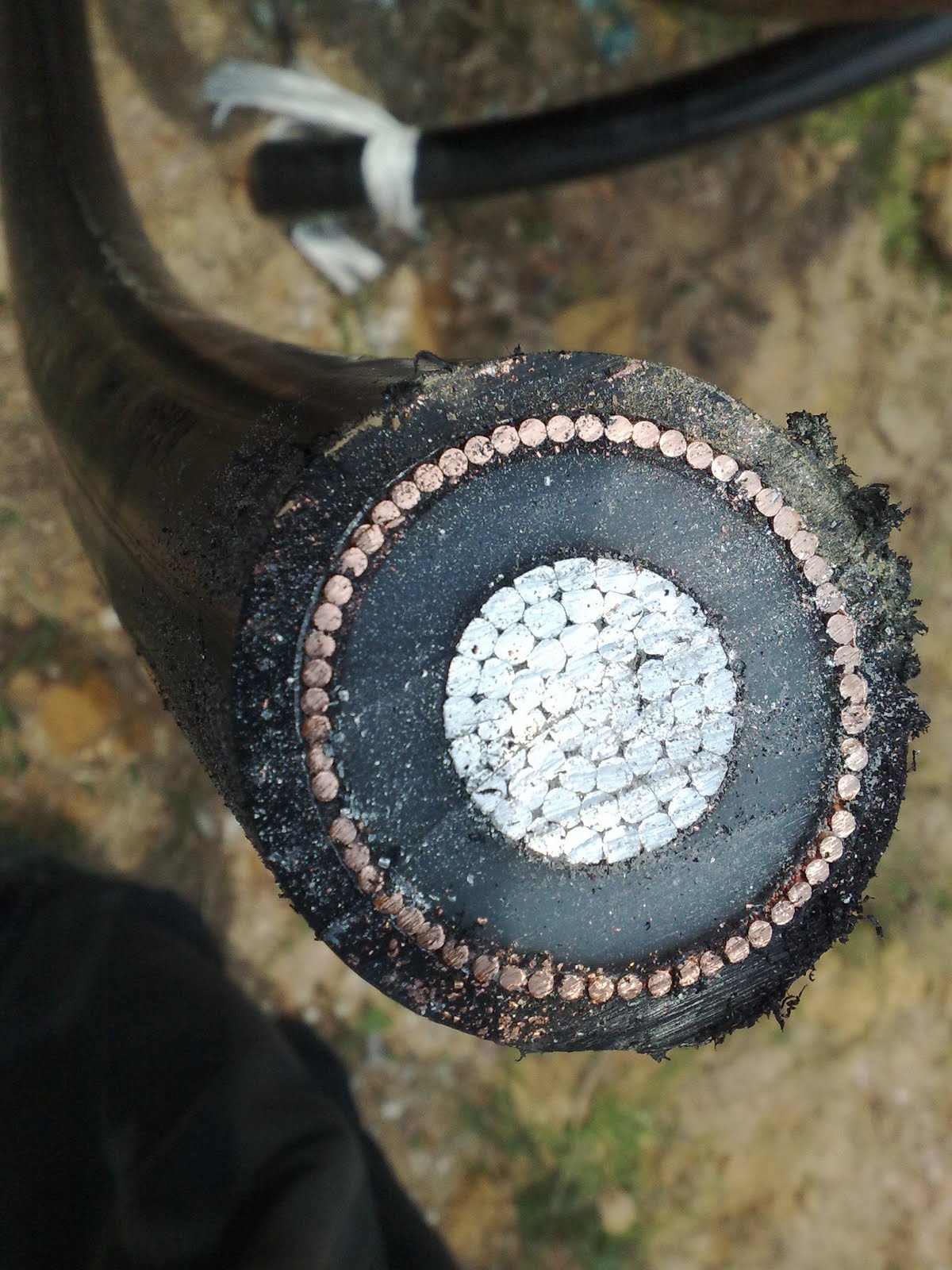 Industrial Training April 2010