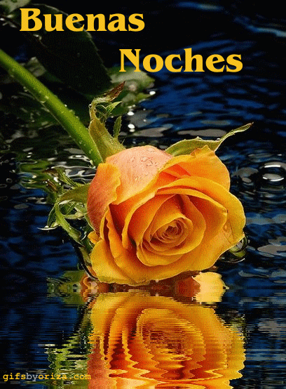 gifs-by-oriza-feliz-buenas-noches1.gif