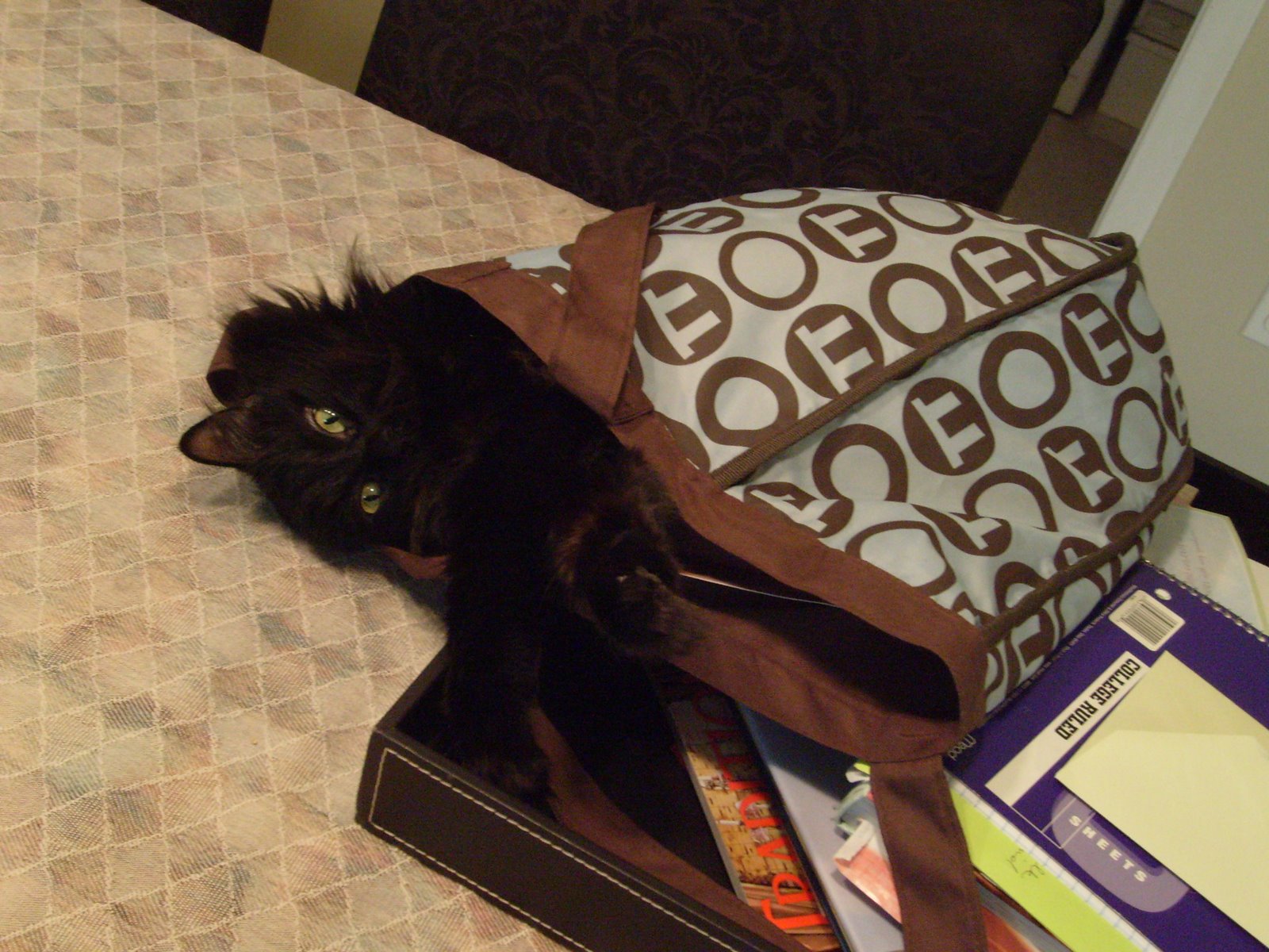 [Winter+2007-08+112.jpg]