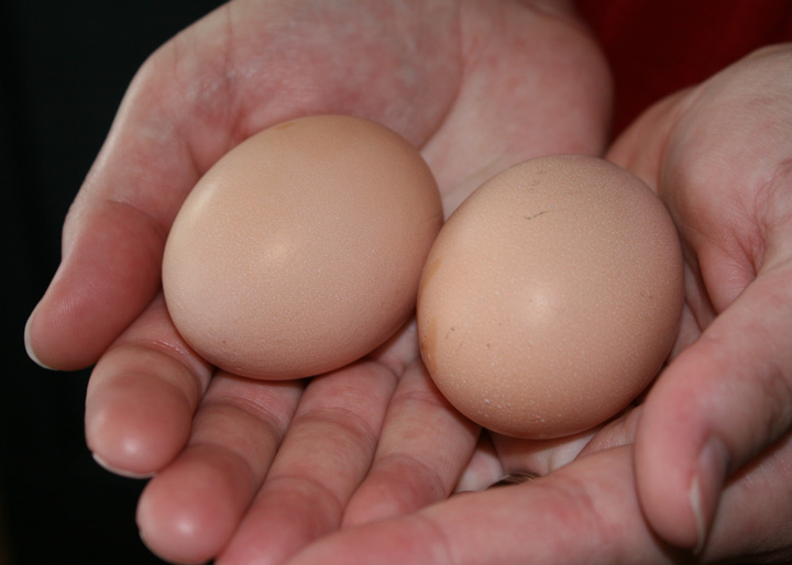 [IMG_9960+chnaged.jpg]