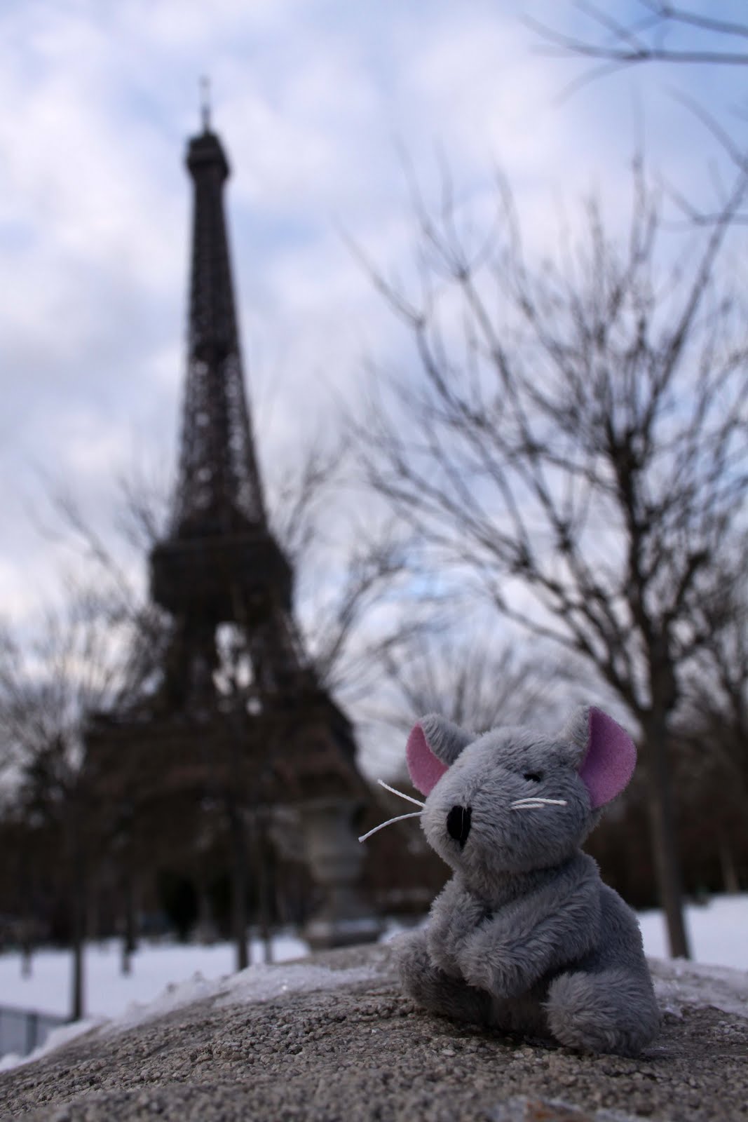 [eiffel_mouse.jpg]