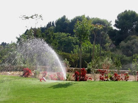 Plantas y jardineria: julio 2009