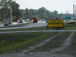 7.21 Acres Unlimited Commercial Potetial 640 feet of State Road 44 Frontage - New Smyrna Beach Area