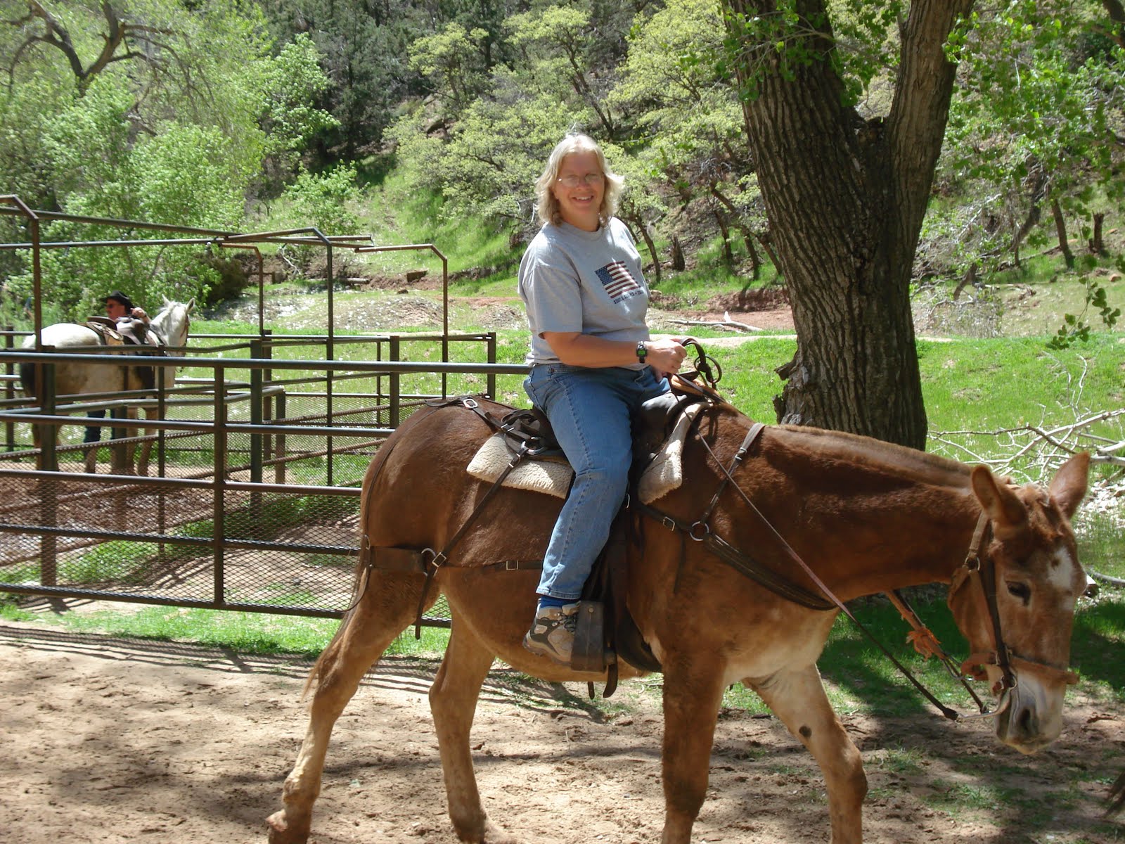 Stafford's On The Road Zion National Park (Horseback Ride), Utah