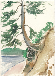 dry brush wet technique watercolor notes studio