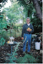 John harvesting Grapefruit