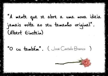 Pensamento Do Dia joao barbara