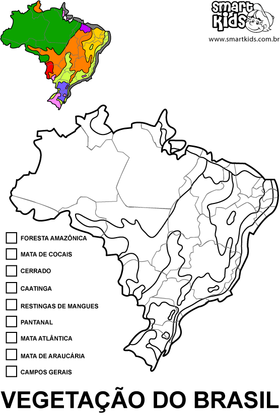 Geoprofessora: Aula: Vegetação