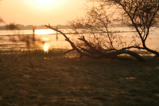 thol lake bird sanctuary ahmedabad gujarat travel sunrise