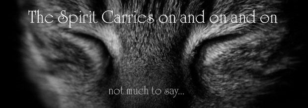 the spirit carries on and on and on