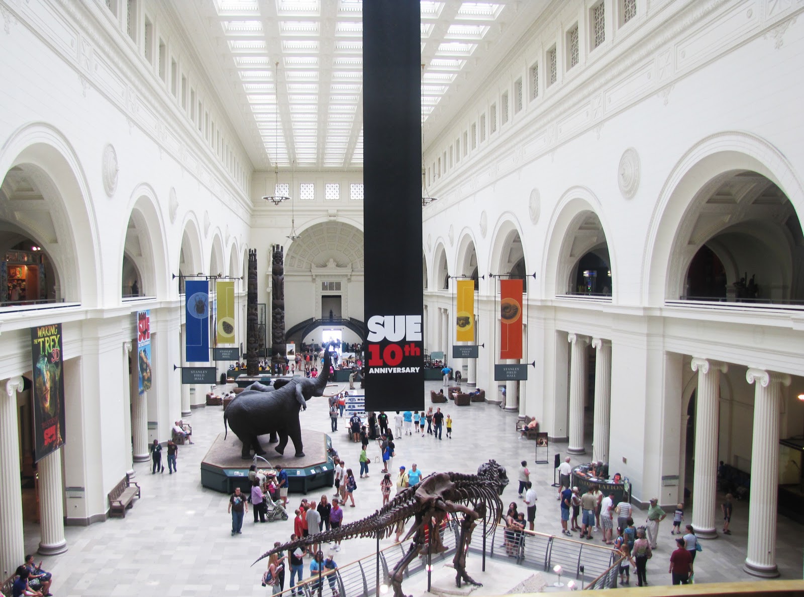 Powell Photography Phor Phun Chicago! Field museum and other things!