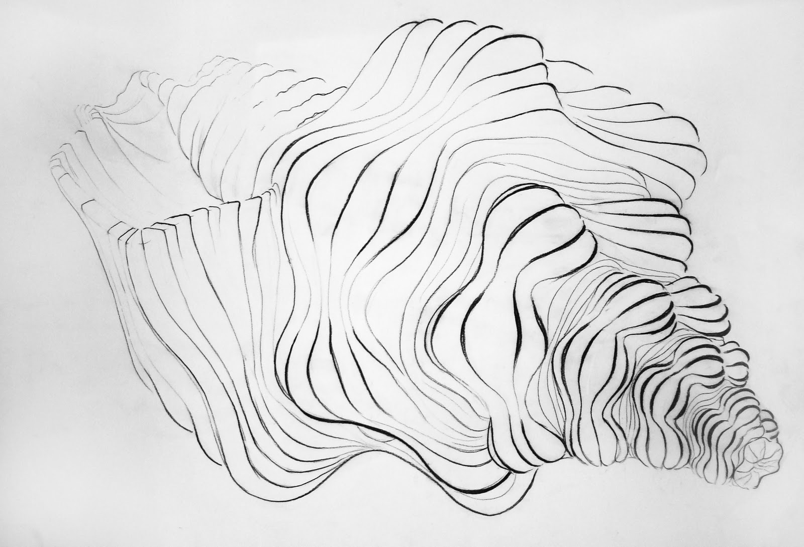 contour art contour art
