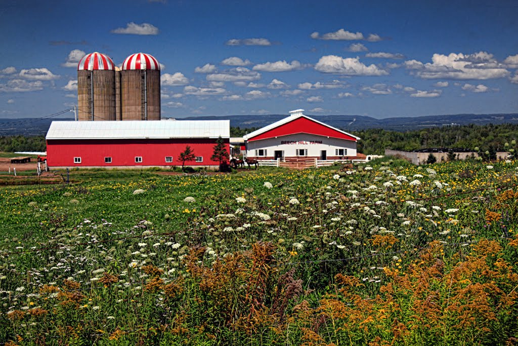 AJ's Nova Scotia Farm Country