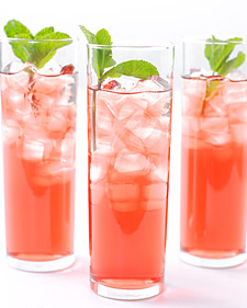 [edf_jul06_refresh_icedtea_l.jpg]