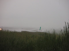 No visibility!