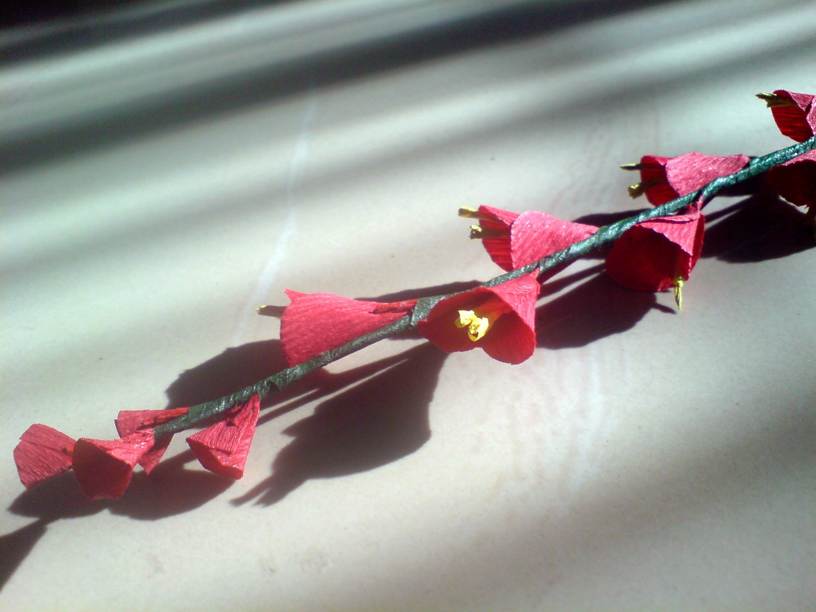 [Flower4.jpg]