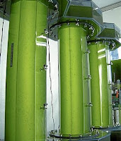 Un avión voló con combustible a base de algas made in Argentina