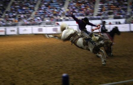 [Rodeo5.jpg]
