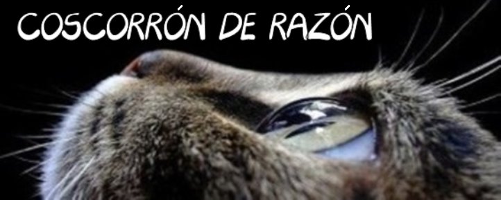 Coscorrón de Razón