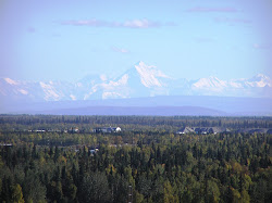 Berrypicking with a nice view