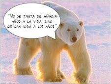 Y donde está el oso Pérez???