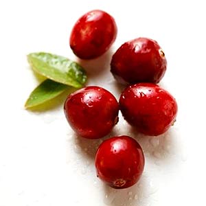 [cranberry.jpg]