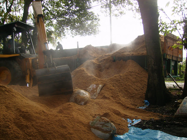 Kerja-kerja di tapak penyimpanan habuk kayu