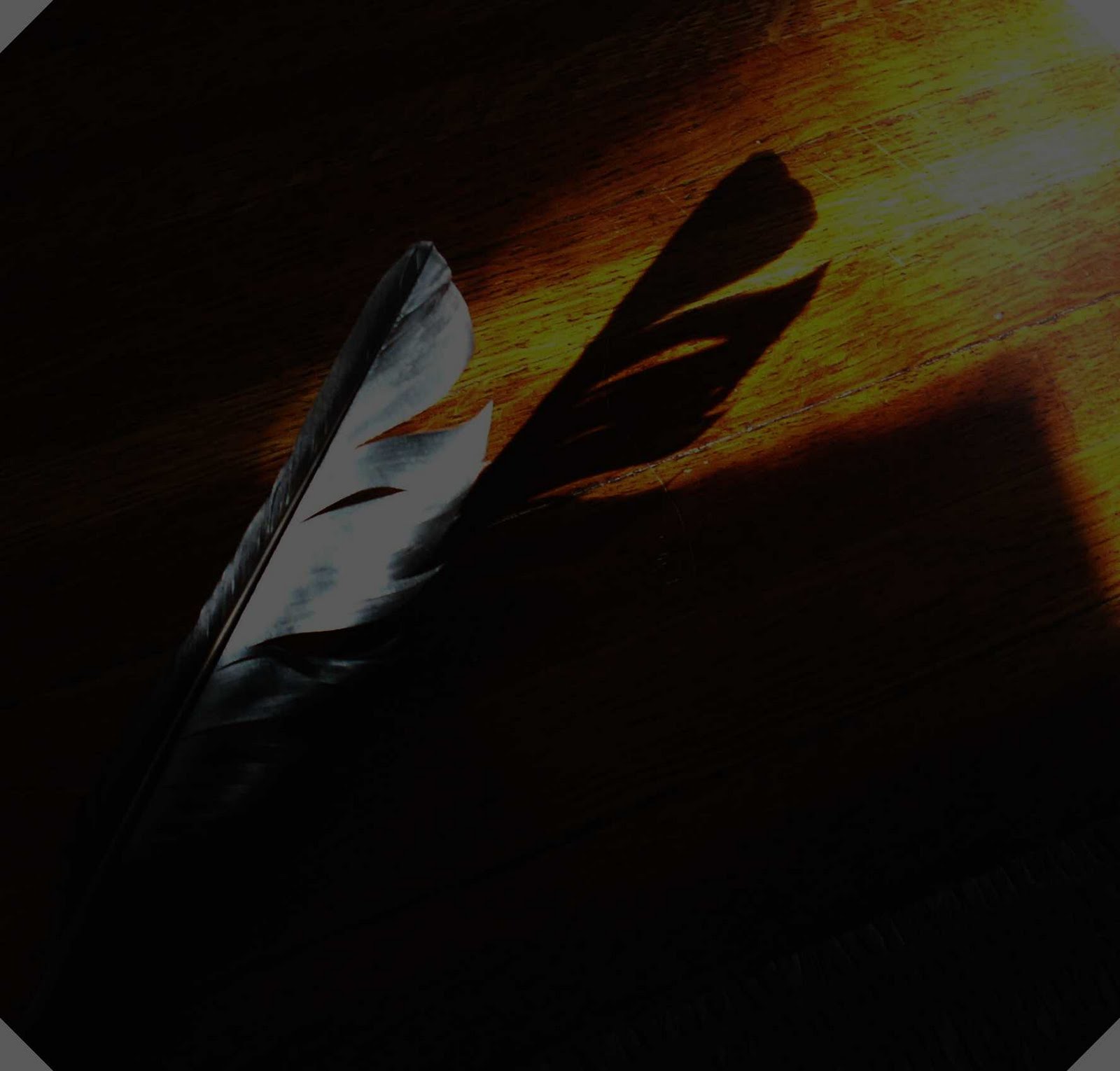 feather indian feathers