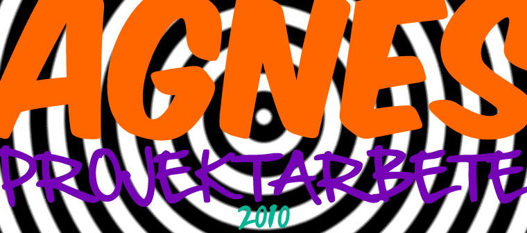 Agnes projektarbete 2010