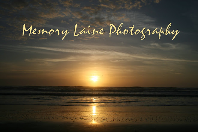 Memory Laine Photography